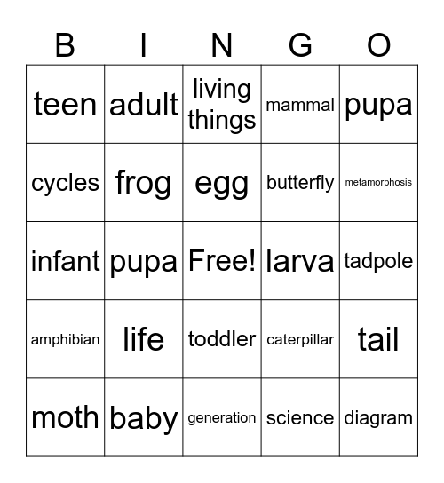 Life Cycles Bingo Card