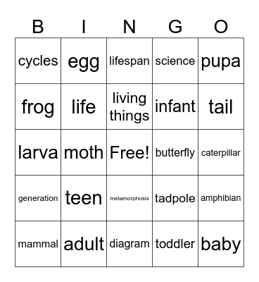Life Cycles Bingo Card