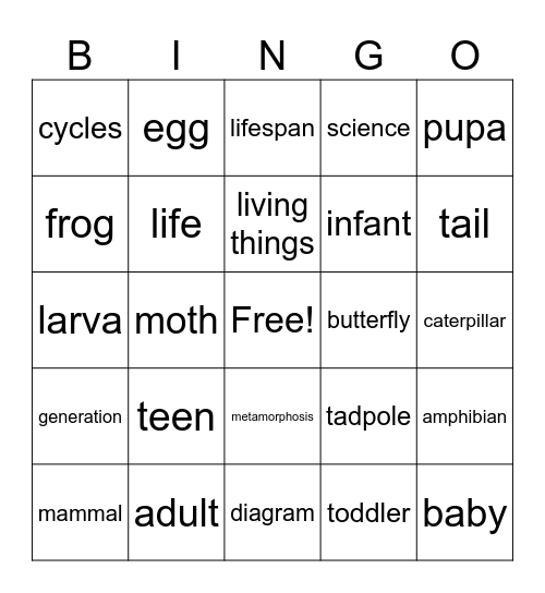 Life Cycles Bingo Card