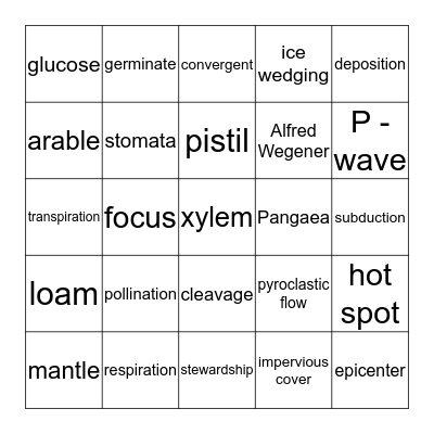 Science Bingo Card