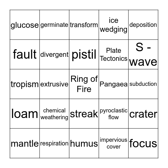 Science Bingo Card