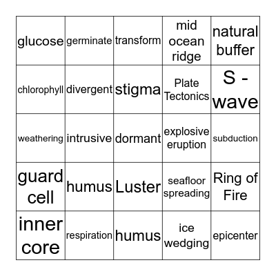 Science Bingo Card