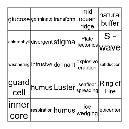 Science Bingo Card