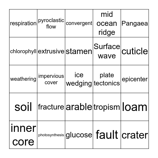 Science Bingo Card