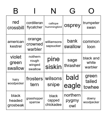 Yellowstone bird bingo Card