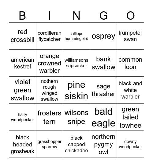 Yellowstone bird bingo Card