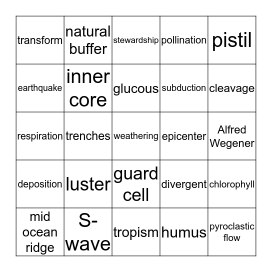 Science Bingo Card