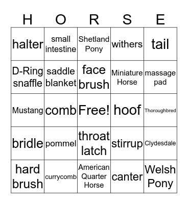 Equine Bingo Card