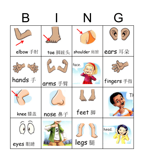 Body Bingo Card