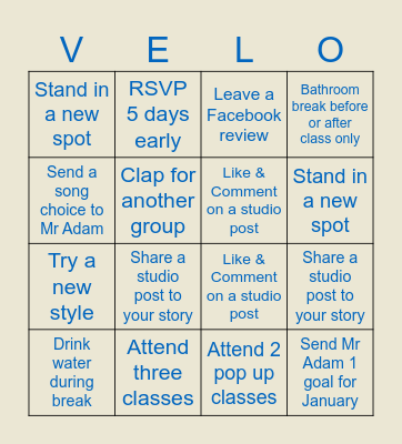 VELOCITY JANUARY BINGO Card