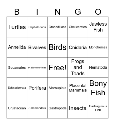 Animal Classification Bingo Card