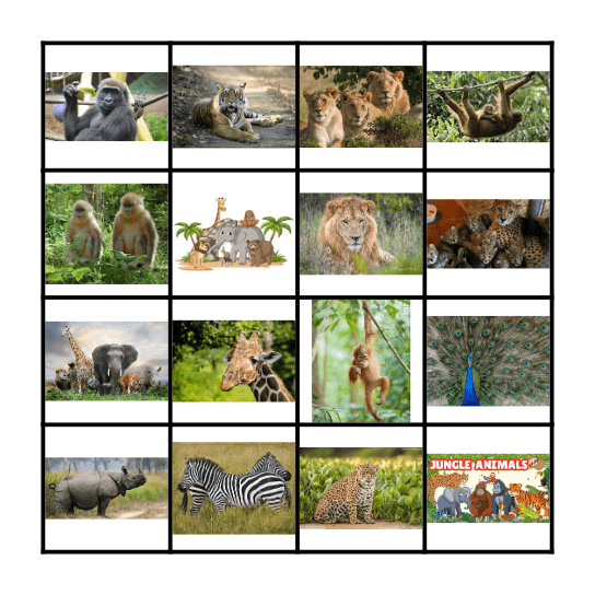 Bingo in the Jungle Bingo Card