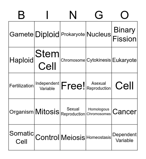 Unit 5 Vocabulary Bingo Card