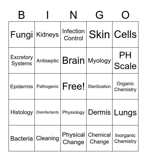 Esthetics Bingo Card