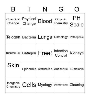 Esthetics Bingo Card