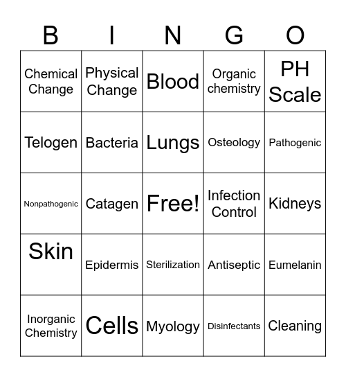 Esthetics Bingo Card