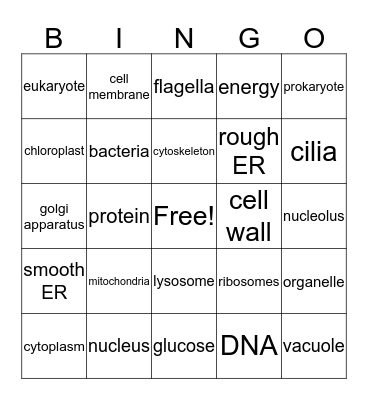 Science Bingo Card