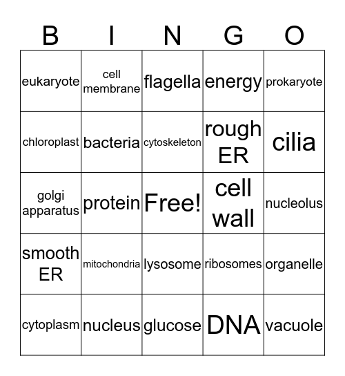 Science Bingo Card