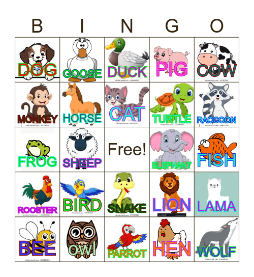 ANIMAL Bingo Card
