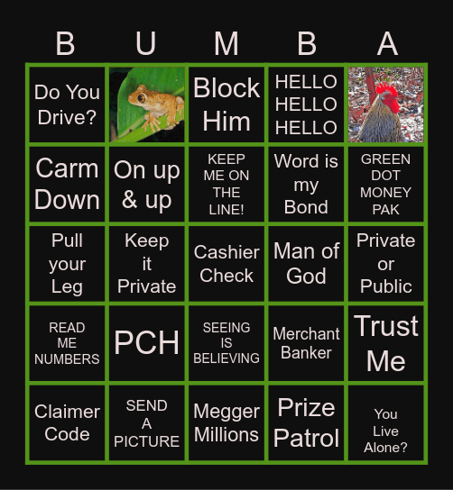 PCH SCAMMER MEDIUM Bingo Card