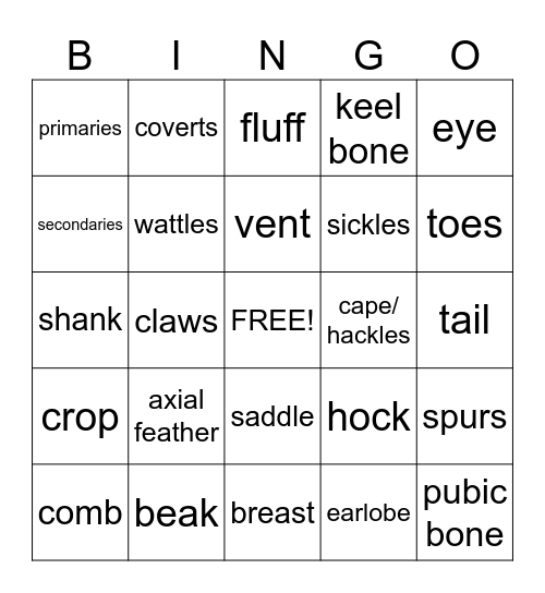 Chicken Anatomy Bingo Card