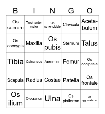 Knochen-Bingo Card