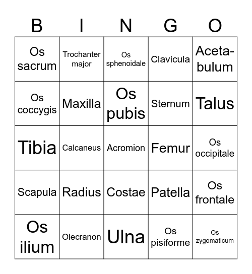 Knochen-Bingo Card