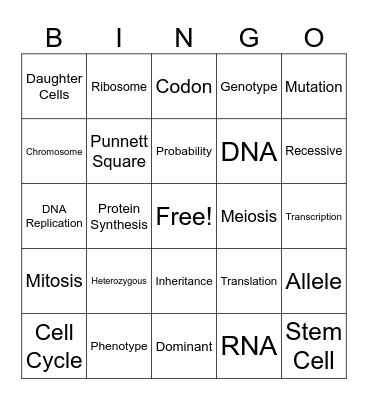 BIO REVIEW Bingo Card