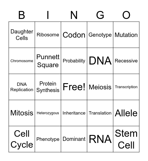 BIO REVIEW Bingo Card
