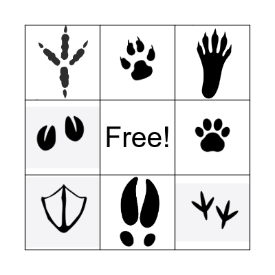 UK Animal tracks Bingo Card