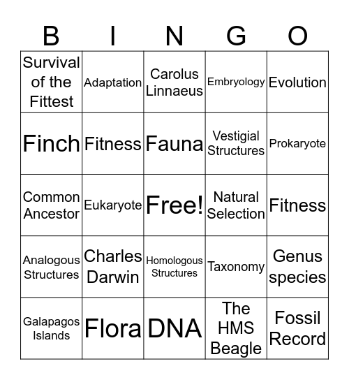 Evolution Bingo Card