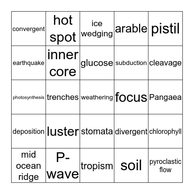 Science Bingo Card