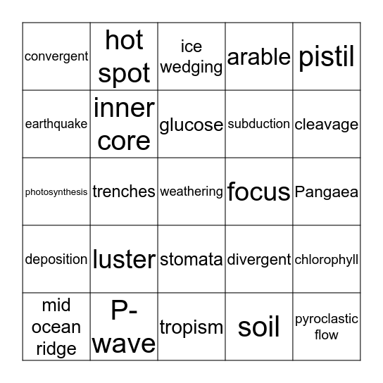 Science Bingo Card