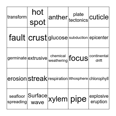 Science Bingo Card