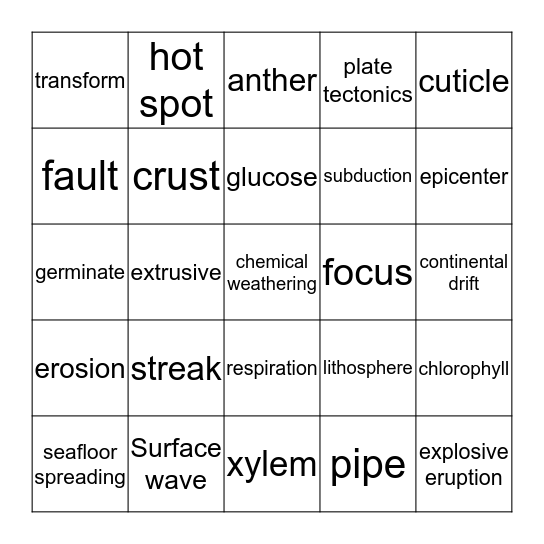 Science Bingo Card