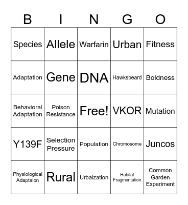 Urbanization: Hawksbeard, Rats, and Juncos Bingo Card