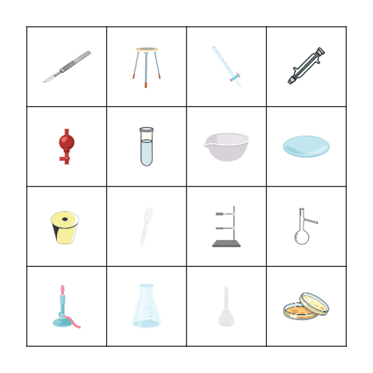 El Bingo de los materiales de laboratorio Bingo Card