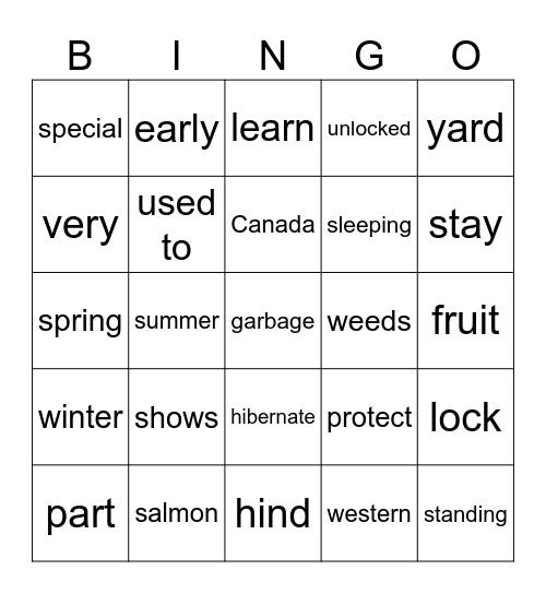 Bear Additions Bingo Card