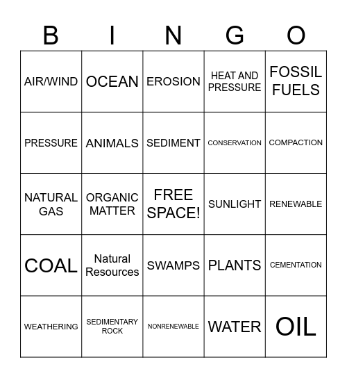 Test Review Bingo Card