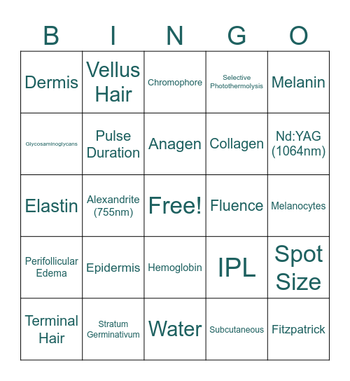 LASER FINAL Bingo Card