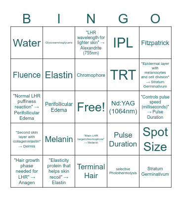 laser final bingo Card