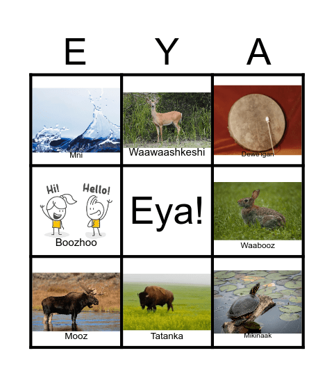Eya! Bingo Card