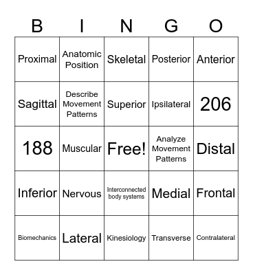 The Human Movement System Bingo Card