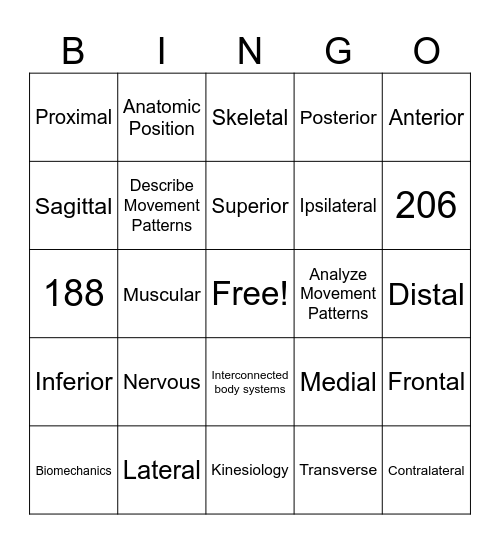 The Human Movement System Bingo Card