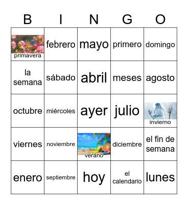 Dias Y Meses Bingo Card