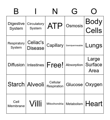 Metabolism Bingo Card