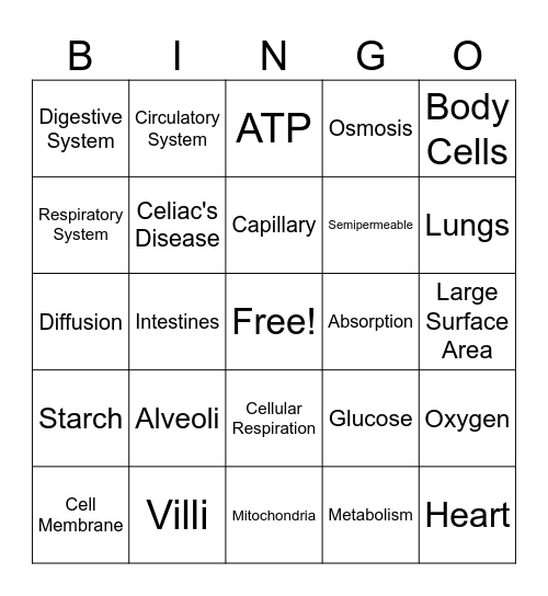 Metabolism Bingo Card
