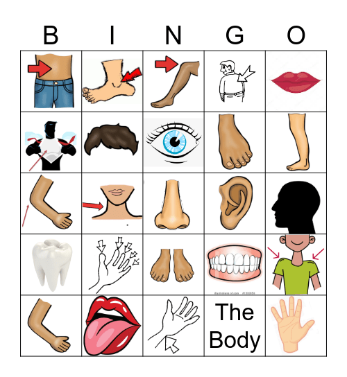 BODY PARTS Bingo Card