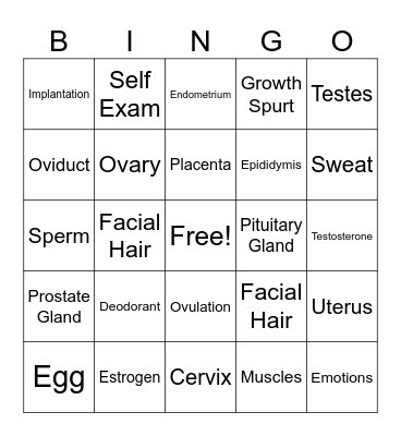 Reproductive Health & Puberty Bingo Card