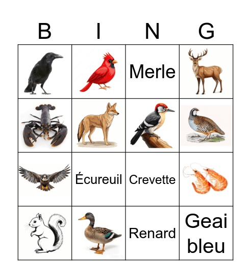 Animaux du canada Bingo Card